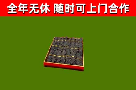 疏勒回收海参